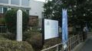 家屋等はありませんが、産湯の井戸が残っていました