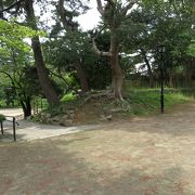 土浦城を中心とした公園。