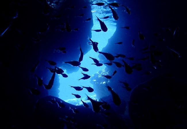 伊良部島観光ガイドゆうむつ クチコミ アクセス 営業時間 伊良部島 下地島 フォートラベル