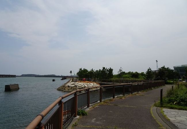 海沿いの公園