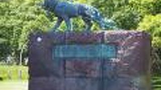 南極に樺太犬を連れて行った