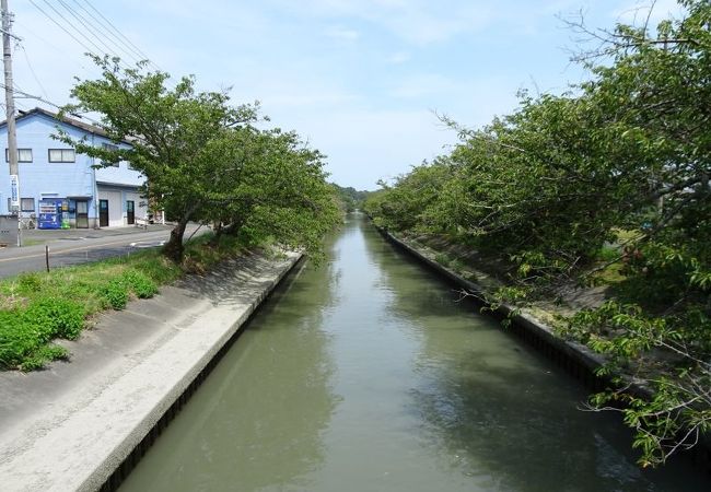 木屋川堤