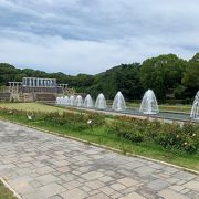 都市部から近い大きな整備された公園