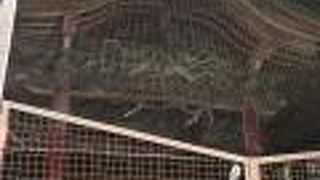 中心部からは離れてます