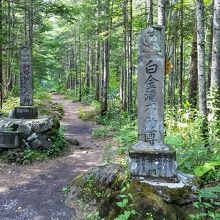 不動の滝への参道