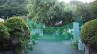 木々が多く自然豊か