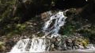 宿泊施設の近くにありました