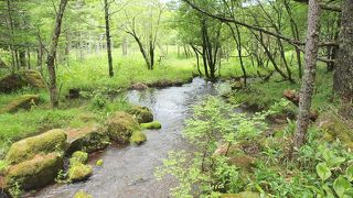 のんびり散策できます