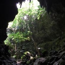 洞窟からの景色はきれいです。