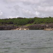 結構沖でもサンゴ礁は少なかったです。