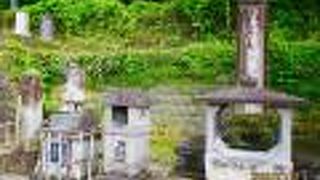 城のある方角を見ている