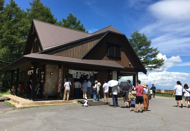 牛乳専科もうもう クチコミ アクセス 営業時間 白樺湖 蓼科 車山 フォートラベル 牛乳専科もうもう クチコミ アクセス 営業時間 白樺湖 蓼科 車山 フォートラベル