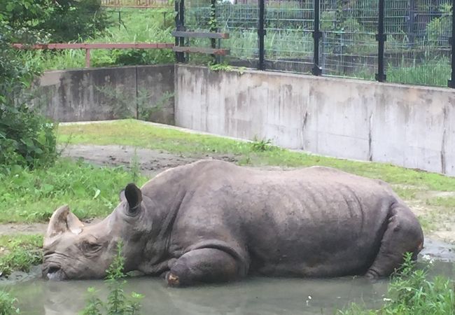 広い動物公園