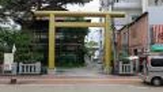 土佐になくてはならない神社だったのでしょうね