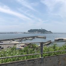 展望台から見た江の島