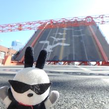 間近で見ると迫力がある