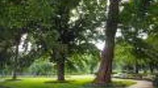 地元の方の大きな公園