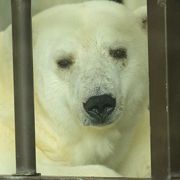 中四国一の規模を誇る動物園