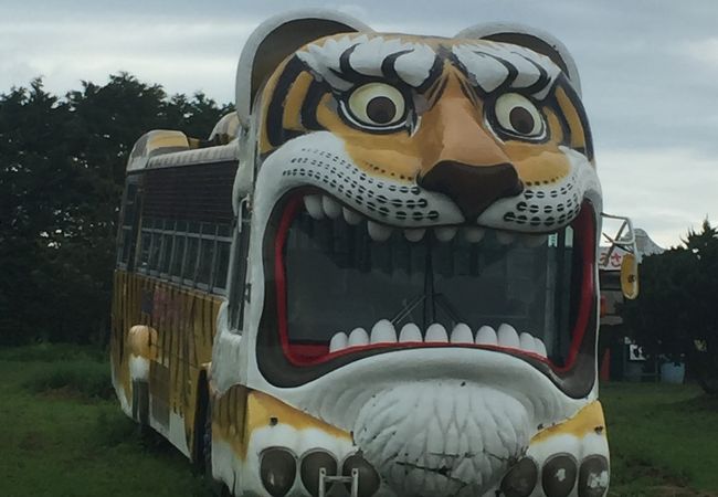 動物がバスに寄ってきます