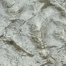 海だった場所なので 貝の化石も見られます