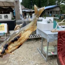 駐車場横 ﾁﾊﾞﾆｱﾝの里で鮎の塩焼き