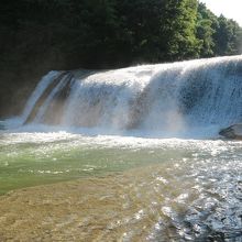 見てるだけでも涼しい～！