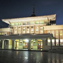 夜のライトアップは実に美しい姿です