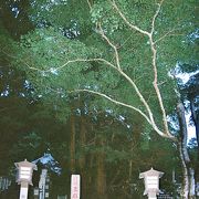 奈良時代の陪都保良宮跡に建立された寺院である。