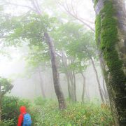 白神山地の中で世界遺産に登録されているエリアで人が入れる所は意外と･･･／二ツ森山