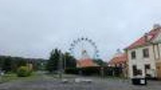 水族館・動物園！