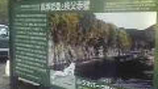 ラフティングで