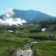 花と雄大な景観の両方が楽しめる名山