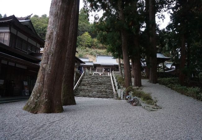 一に焼山、二にお鶴、三に太龍