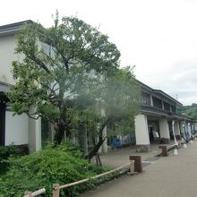 鈴廣かまぼこの里