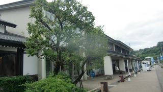 かまぼこに関連した食の宝庫