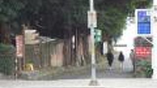 異国情緒がある埠頭