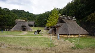 きれいに整備されているのでピクニックには最適