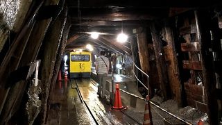 トロッコ列車が楽しい