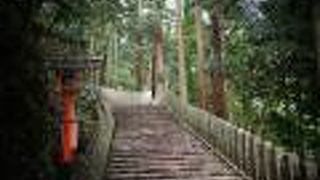 徒歩でのぼりました