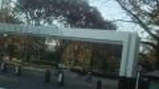 平日に利用するのがいいです。