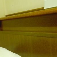 この木の感じが好きです