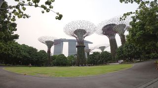 近未来的な植物園