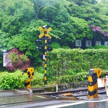 登山鉄道渡ると敷地に入ります。