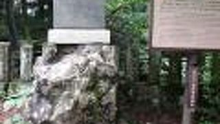 飯盛山にありました