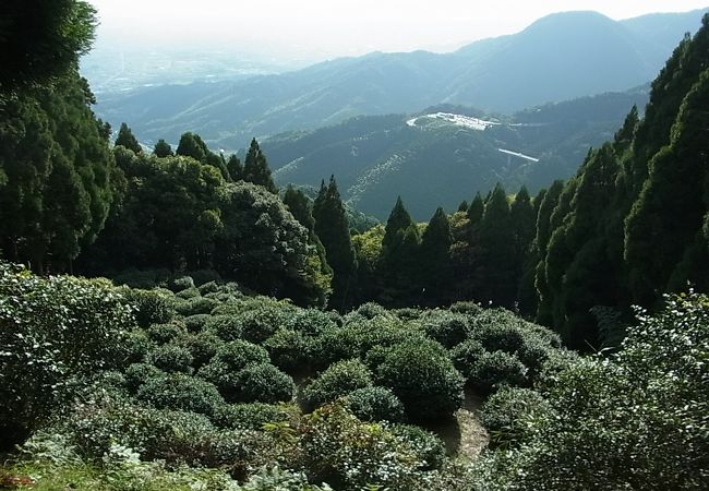 霊仙寺跡