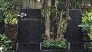 ラリンジンダ ウェルネス スパ リゾート