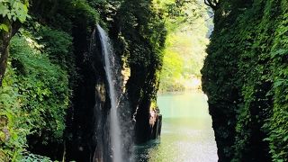 紅葉より、緑の夏場がおすすめ☆車なしで行くには･･