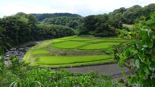 蛇行した川と竹之下の棚田