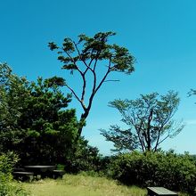 展望広場から見た、山側の景色