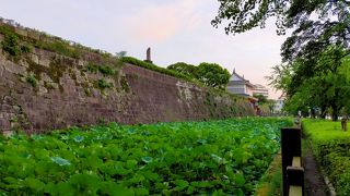 今年の春復元されたばかりの御楼門は立派